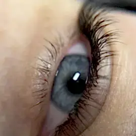 Примеры работ мастеров бровей